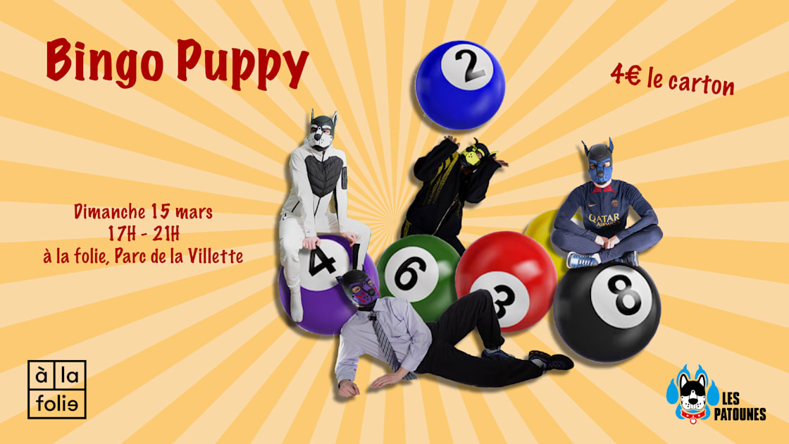 Bingo Puppy