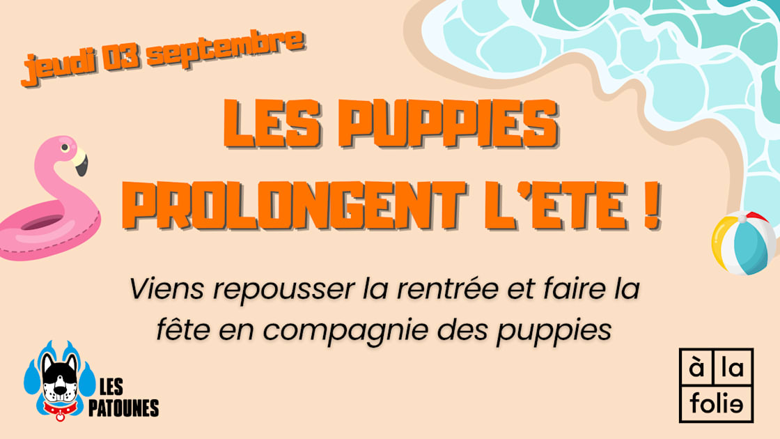 Les Puppies Prolongent L&rsquo;&Eacute;t&eacute;