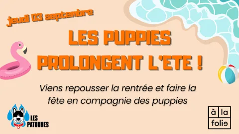 Les Puppies Prolongent L’Été